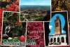 Lot de 10 cartes postales de Tlemcen