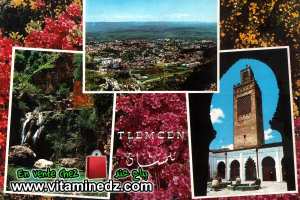 Lot de 10 cartes postales de Tlemcen