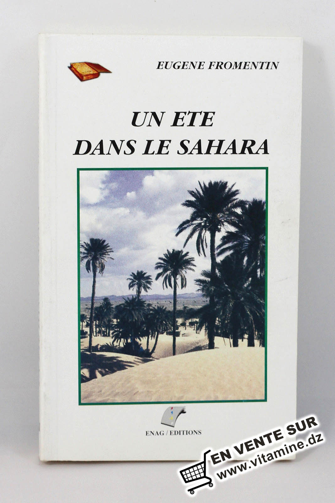 Eugène Fromentin - Un été dans le sahara