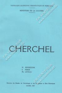 N. BENSEDDIK,  S. FERDI,  Ph. LEVEAU - CHERCHEL