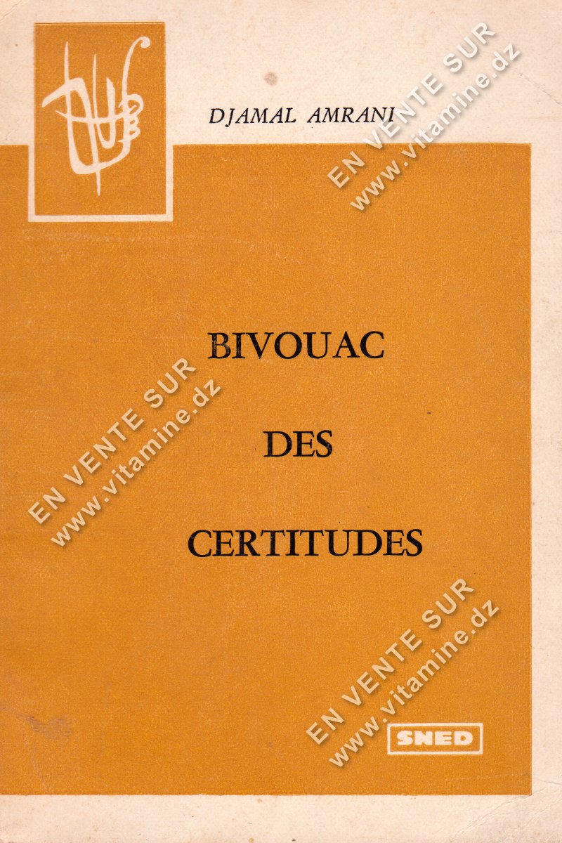 Djamal Amrani - Bivouac des Certitudes