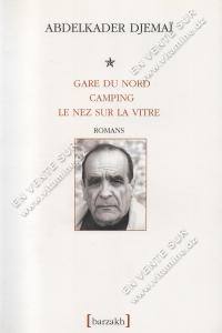 Abdelkader Djemaï - Gare du Nord, Camping, Le nez sur la vitre